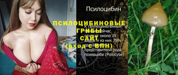 бошки Нефтегорск