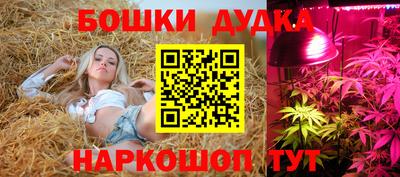 a pvp Берёзовский