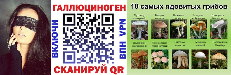 Галлюциногенные грибы GOLDEN TEACHER  Владивосток 