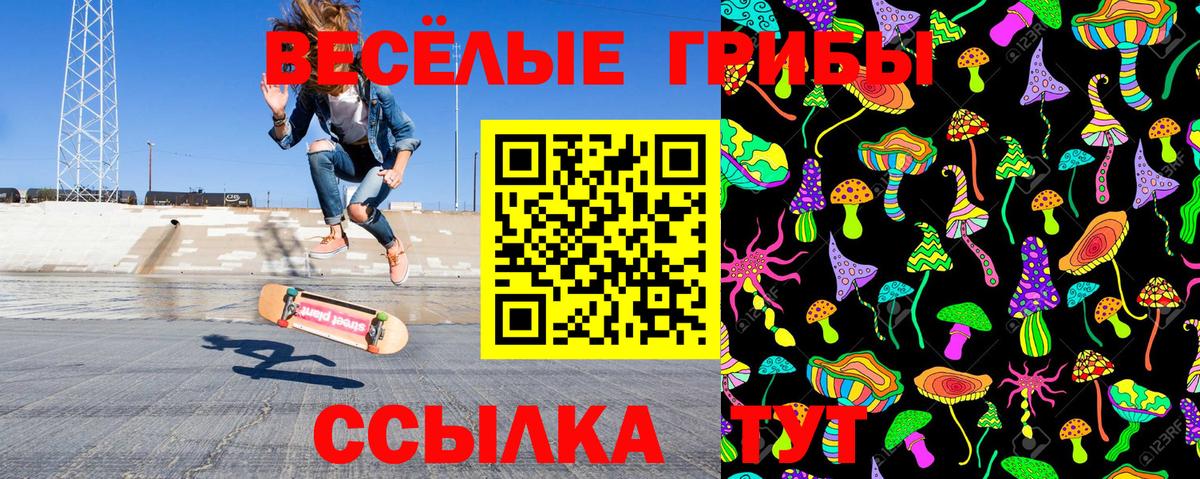 Галлюциногенные грибы Psilocybe  Владивосток 