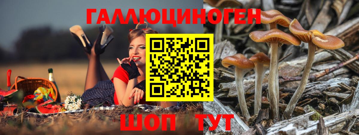 Галлюциногенные грибы MAGIC MUSHROOMS Владивосток