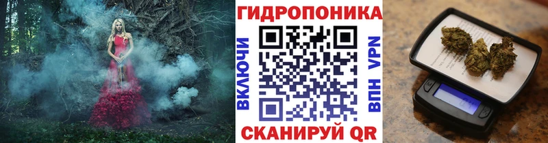 наркота  мега зеркало  Каннабис семена  Владивосток 
